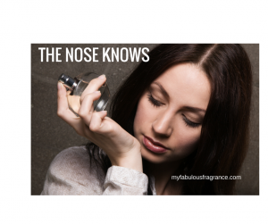 THE NOSE KNOWSg-2