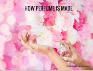 How Perfume Is made