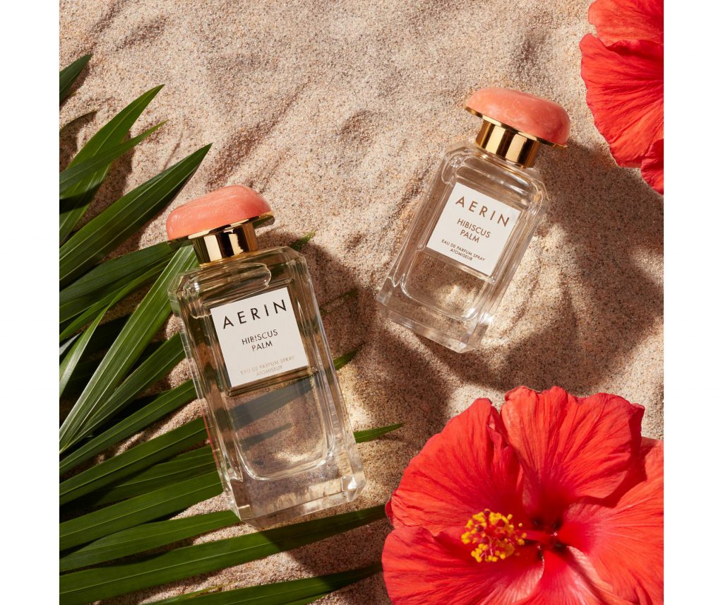 Hibiscus Palm by Aerin